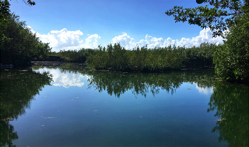 Lagoon view